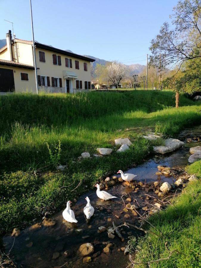 Agriturismo Da Andreina Борсо-дель-Граппа Екстер'єр фото