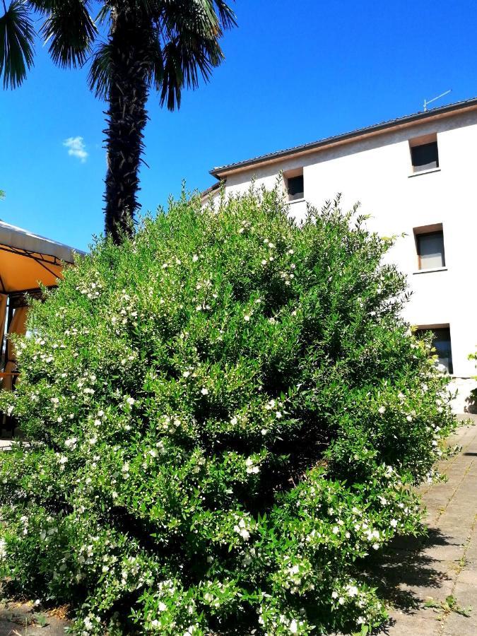 Agriturismo Da Andreina Борсо-дель-Граппа Екстер'єр фото